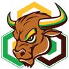 Blockchainbullhornbackup
