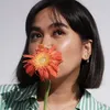 mariadeperio
