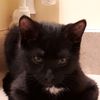 sleepymommy16