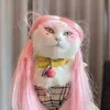 kittyssilly