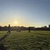 anastasia.demo