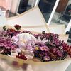 osh__1204