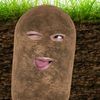 piscgurl_nama