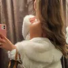 vanessa.vvl