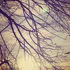 dan_0555
