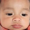 buttercup_4196