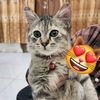 una_zy1