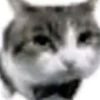 ushygushy.rag