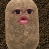 yayahagahag