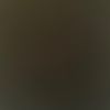 notactive1227