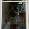 anast.tr