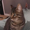 candice_lb2