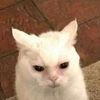 udontfkinghave2know