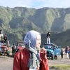teriskaaulia