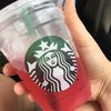 sienna_monkeys23