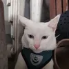 nabongzzz23