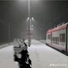 sipp16124