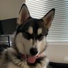 faytalthought