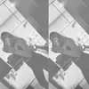 paulinawersonst
