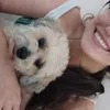 rohdem