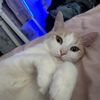 natalie.0122