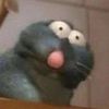 remy.the_rat