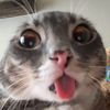 jordy_726