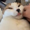 abbeybeauford1