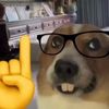 yoink.boink.shloink