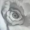 jessica_wisniewska