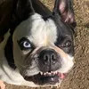 phiphipoopoo