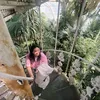 jessiejoy113