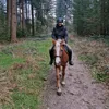 danny_equestrian