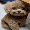simonfreakyriley