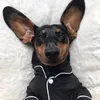 Tinypickles