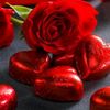 ericka_7921