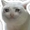 meowluwu