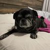 cooperandsunny