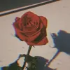 bee_my_honey6