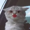 ginmoreski