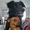 mathildelebrethon