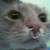 andrea_fikir