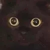 vlyxfd