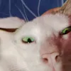 crstnjjj