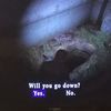 kiefchamber