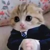 mama.likes.beans