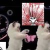 d00merbabe