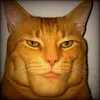 gingerz12
