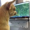 andresvillacresg