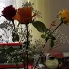 alisalarana